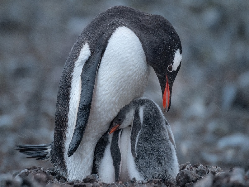 武宣有人试管吗立体试管线机刻度精准的试管